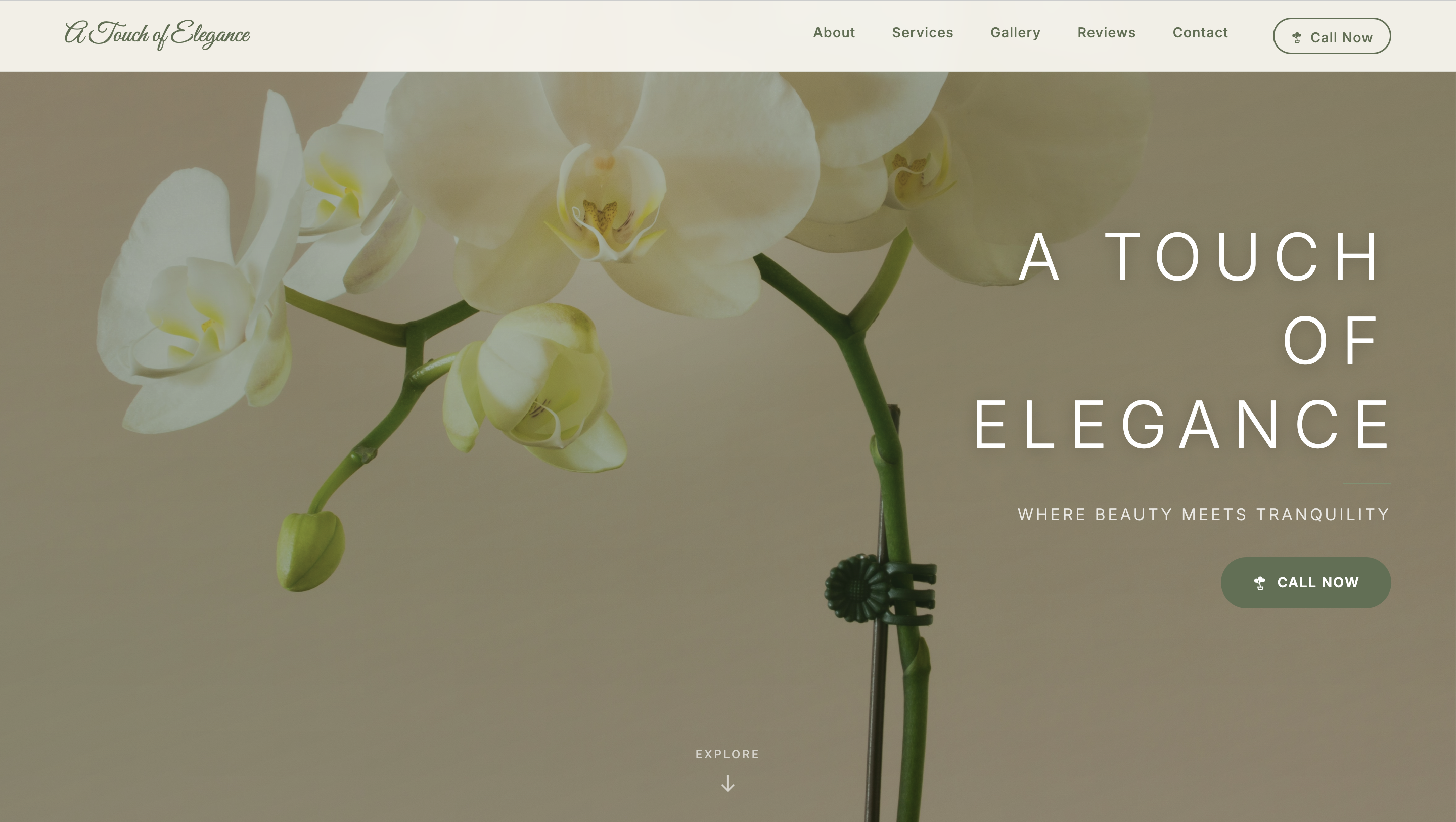 A Touch of Elegance website